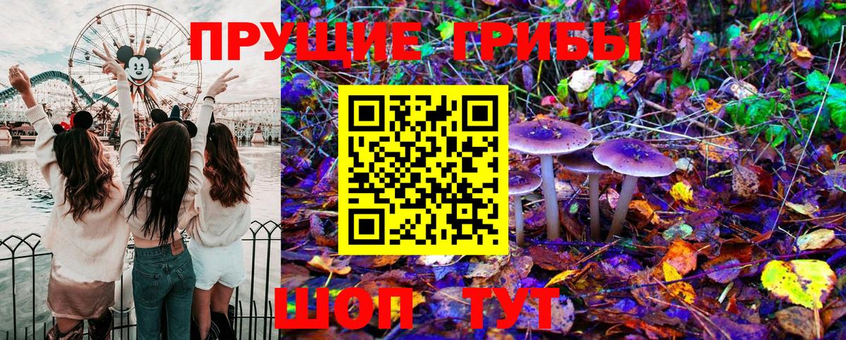 Кемерово  Галлюциногенные грибы Psilocybine cubensis  Вход с VPN 